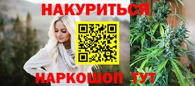 крисы Ставрополь