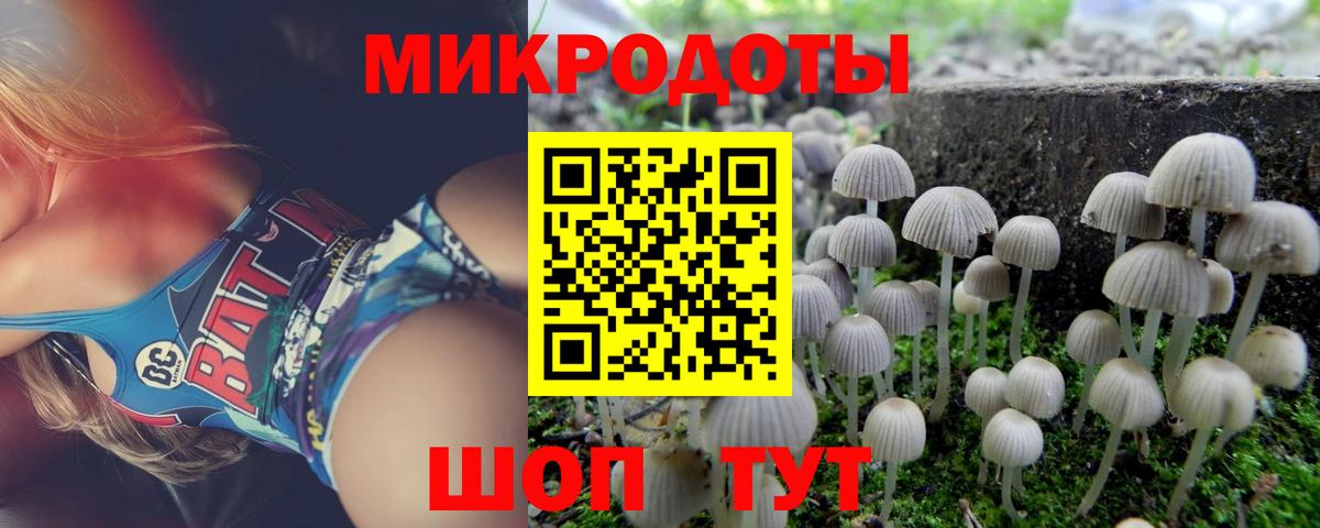 где продают   Вход с VPN  Саранск  Псилоцибиновые грибы мицелий 