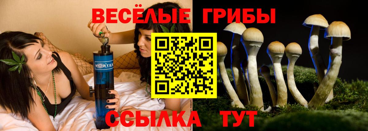 Галлюциногенные грибы Magic Shrooms Саранск